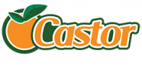 Castor