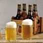 Caneca de Chopp - Fritz - Vidro  475 Ml