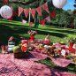 Toalha Pic Nic Xadrez Vermelha 1,5x2,5